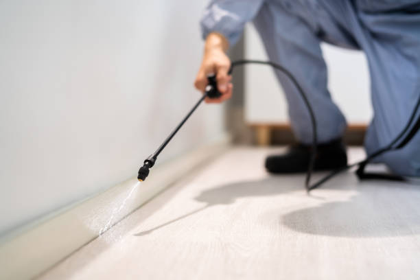 Licensed Termite Control service in Decatur County County, IA - Nex Pest Control