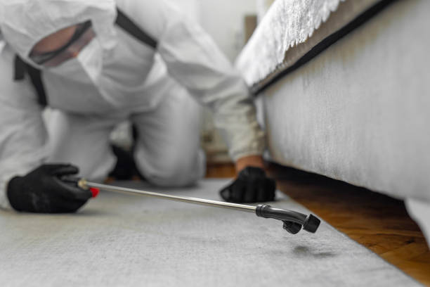 Professional Termite Control technician working in Decatur County County, IA